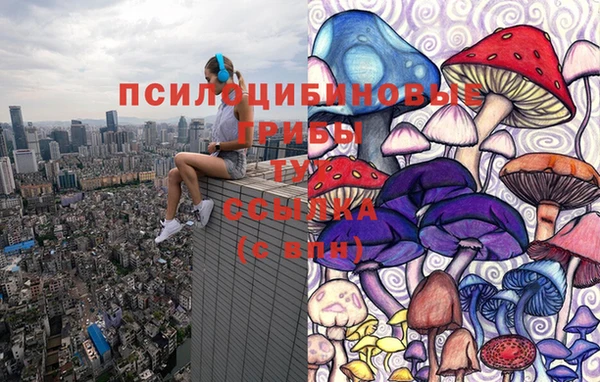 герыч Нея