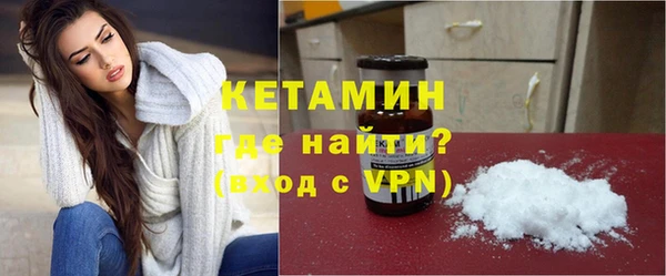 сатива Новодвинск
