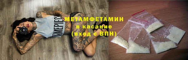 сатива Новодвинск