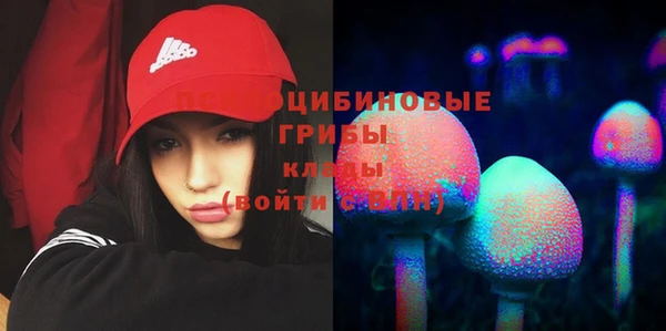 альфа пвп Нефтегорск