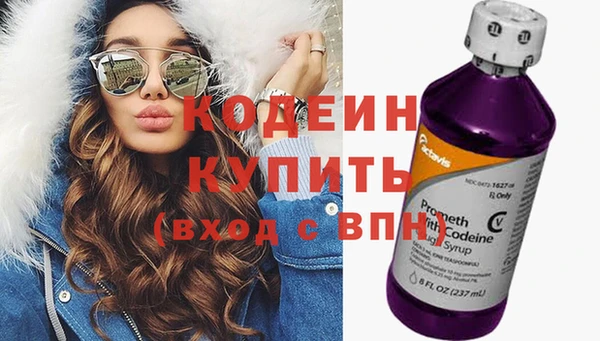сатива Новодвинск