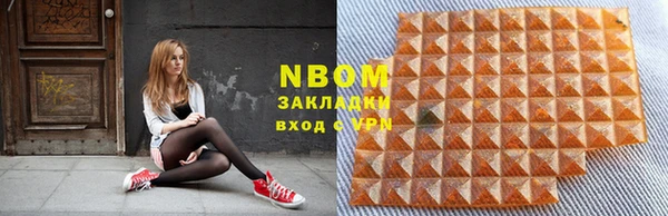 сатива Новодвинск
