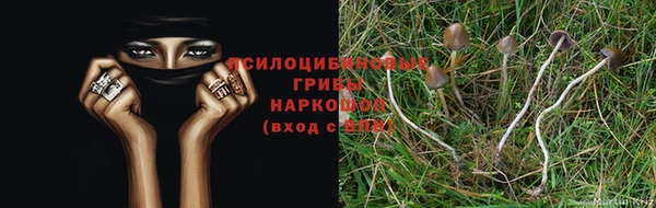 экстази Новокубанск