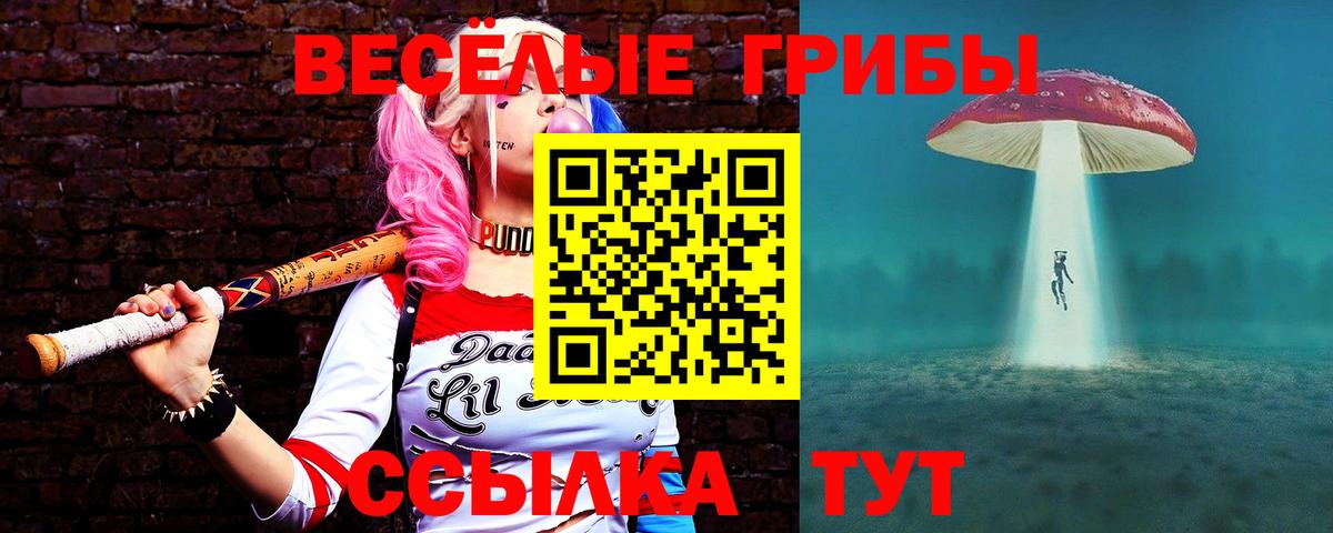 Полевской  Псилоцибиновые грибы Cubensis  Галлюциногенные грибы мухоморы  Вход с VPN 