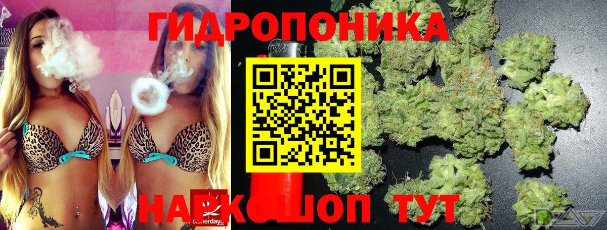 Бошки марихуана конопля Полевской